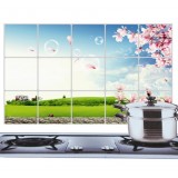 Kitchen PVC Durable Romantic Style Oilproof Sticker