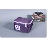 Stylish Violet Storage Bag Small