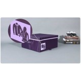 Stylish Violet Storage Bag Large