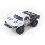 Remote Control (RC) 4WD Rally Car, 4 Channel