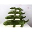 Crocodile Pattern 55cm/21" PP Cotton Stuffed Toys