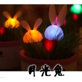 Moonlight Rabbit DIY Cute & Novel Night-light for Him