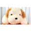 Leisure High Quality Plush Toy - Shameful Dog