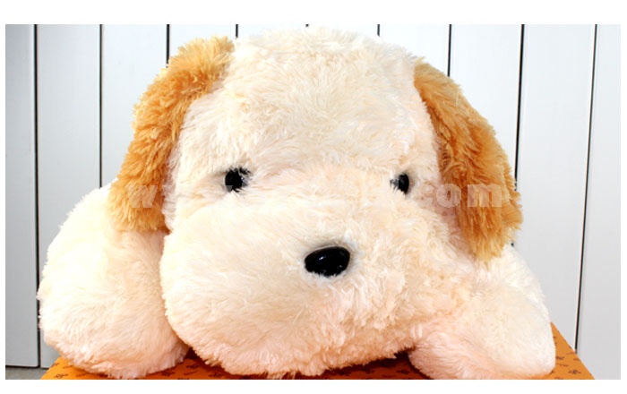 Leisure High Quality Plush Toy - Shameful Dog