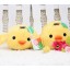 Lovely Chicken Plush Toys Set 2Pcs 18*12cm