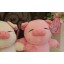 Lovely Plush Toys Set 2Pcs 18*12cm