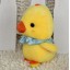 Cute Chicken Plush Toy Set 2PCs 18*12CM