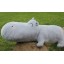 Cute Hippo Plush Toy Set 2PCs 70*30CM