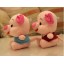 Lovely Pig 12s Record Function Plush Toy 18*13cm