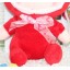 Lovely 12s Record Function Plush Toy 18*13cm