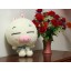 Cute Sleepy Piggy Plush Toy 55cm