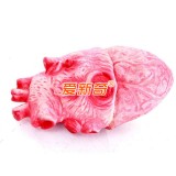 Creative Holloween Trick Toy Latex Simulation Heart