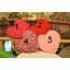 36*30CM/14*12" Cute Soft Rose Heart Pattern Plush Toy