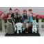 Frozen Elsa Anna and Olaf Garage Kits PVC Toys MFigure Toys 2.7-4.7inch 8pcs/Lot 