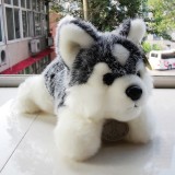 Husky Dog Plush Toy Imitate Toy 32cm/12.6inch